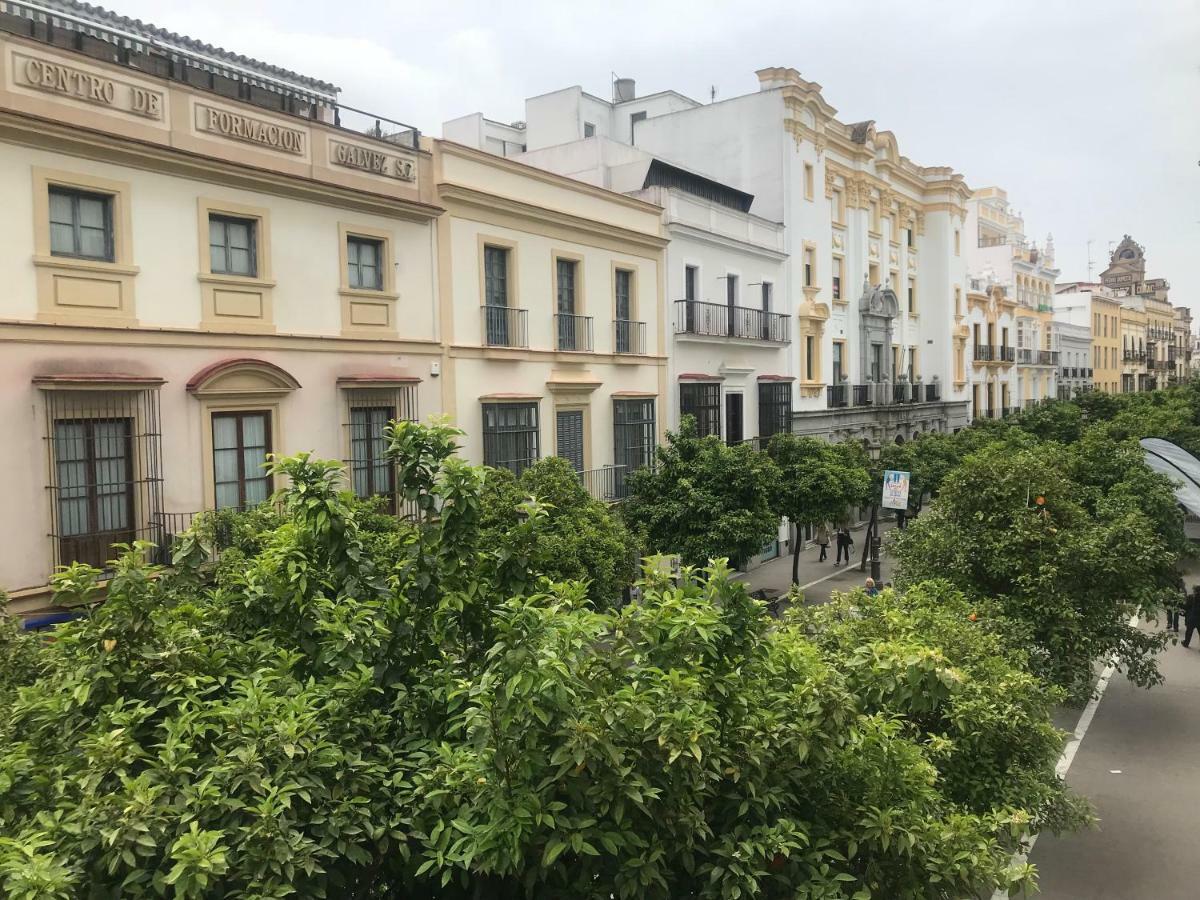 Appartement Apartamento Centro Jerez à Jerez de la Frontera Extérieur photo